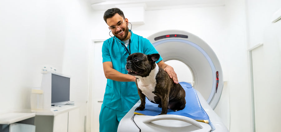 Advanced Medical Facilities
