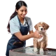 Pet Bathing