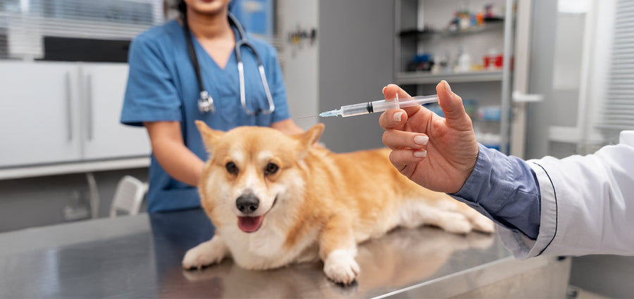 Comprehensive Vaccination
