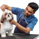 Haircut for Pets