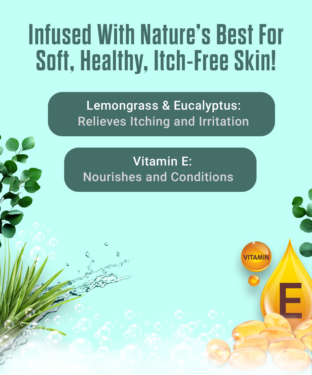 Anti Itch Shampoo + Conditioner for Dogs and Cats