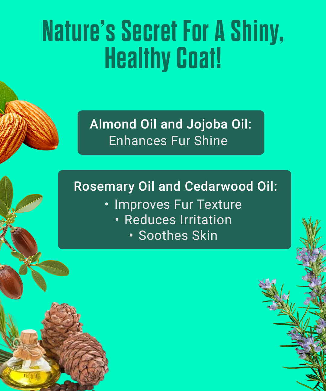 Fur Shiner Oil for Dogs and Cats