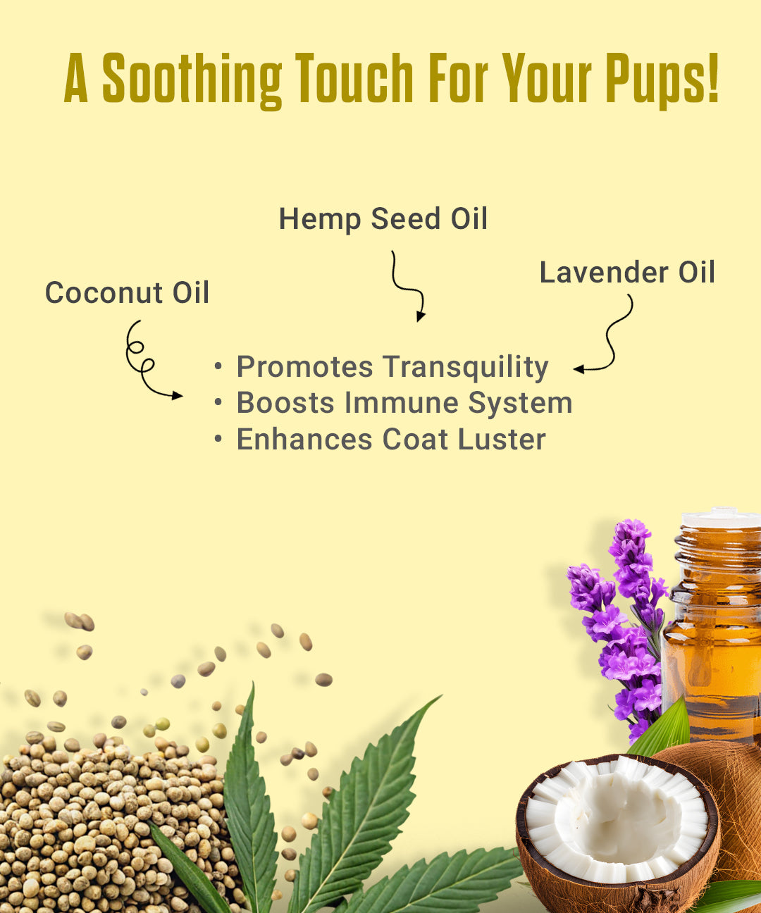 Calming Oil for Dogs and Cats