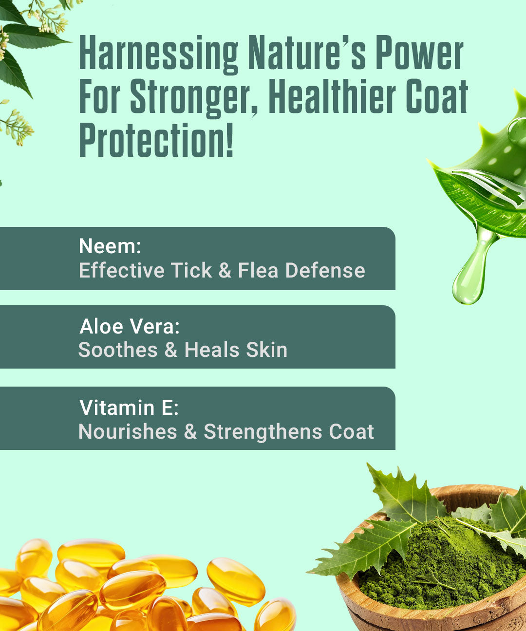 Anti Tick & Flea Shampoo + Conditioner for Dogs and Cats