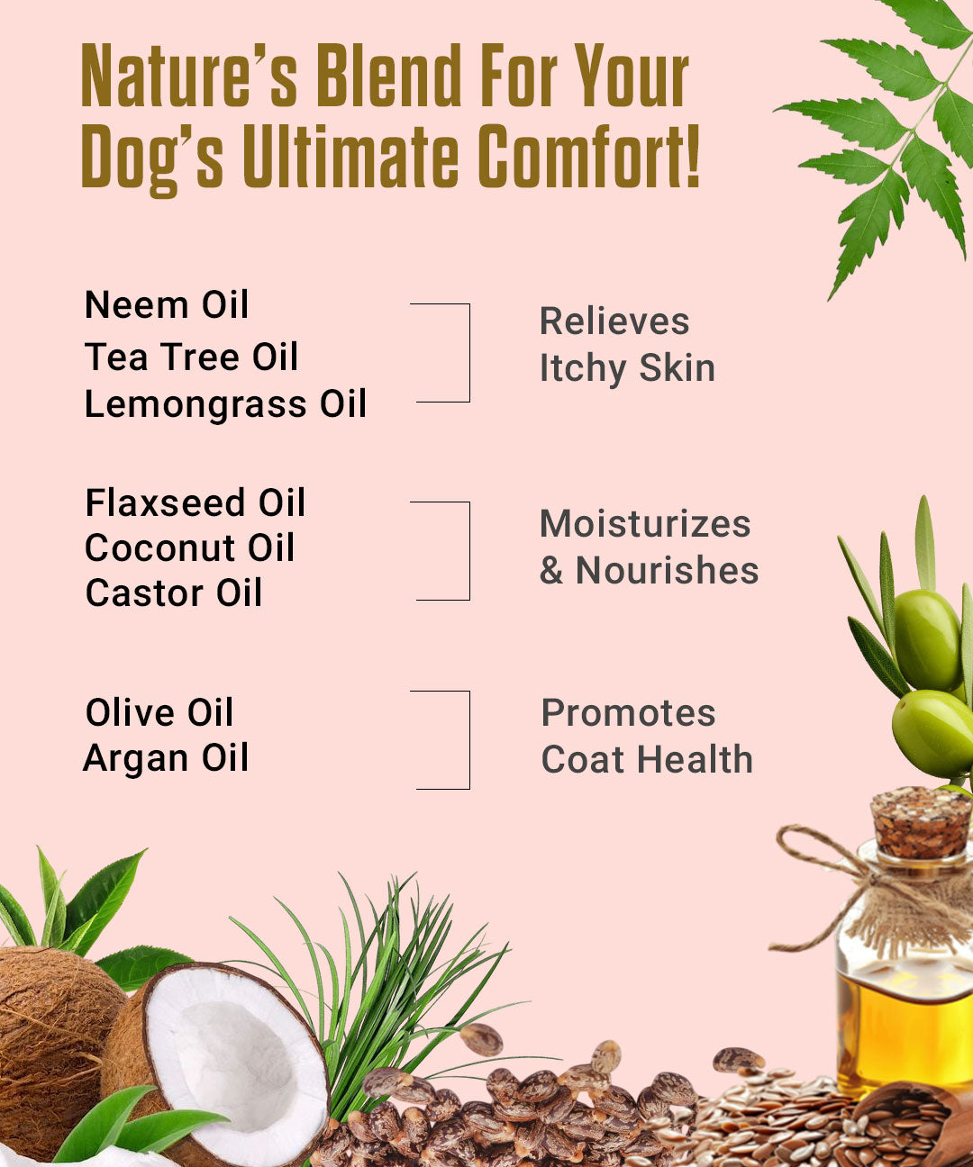 Anti Itch Oil for Dogs and Cats