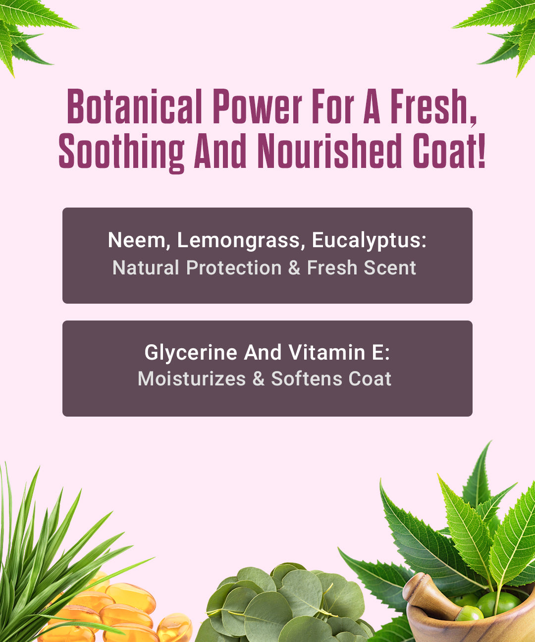 Puppy Bath Shampoo + Conditioner for Dogs and Cats