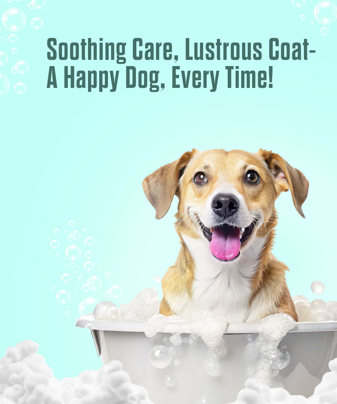 Anti Itch Shampoo + Conditioner for Dogs and Cats