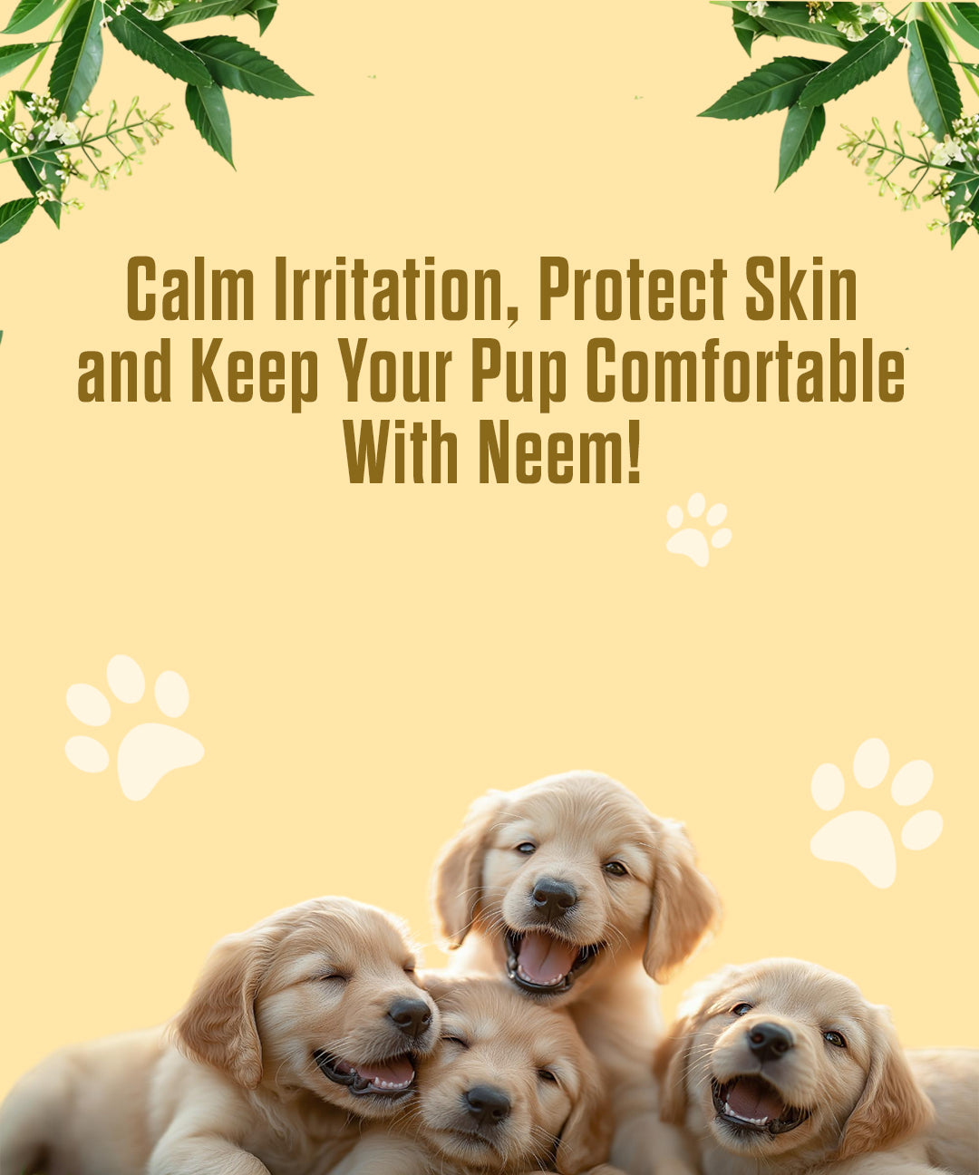 Pure Neem Oil (Cold Pressed, Paper Filtration) for Dogs and Cats