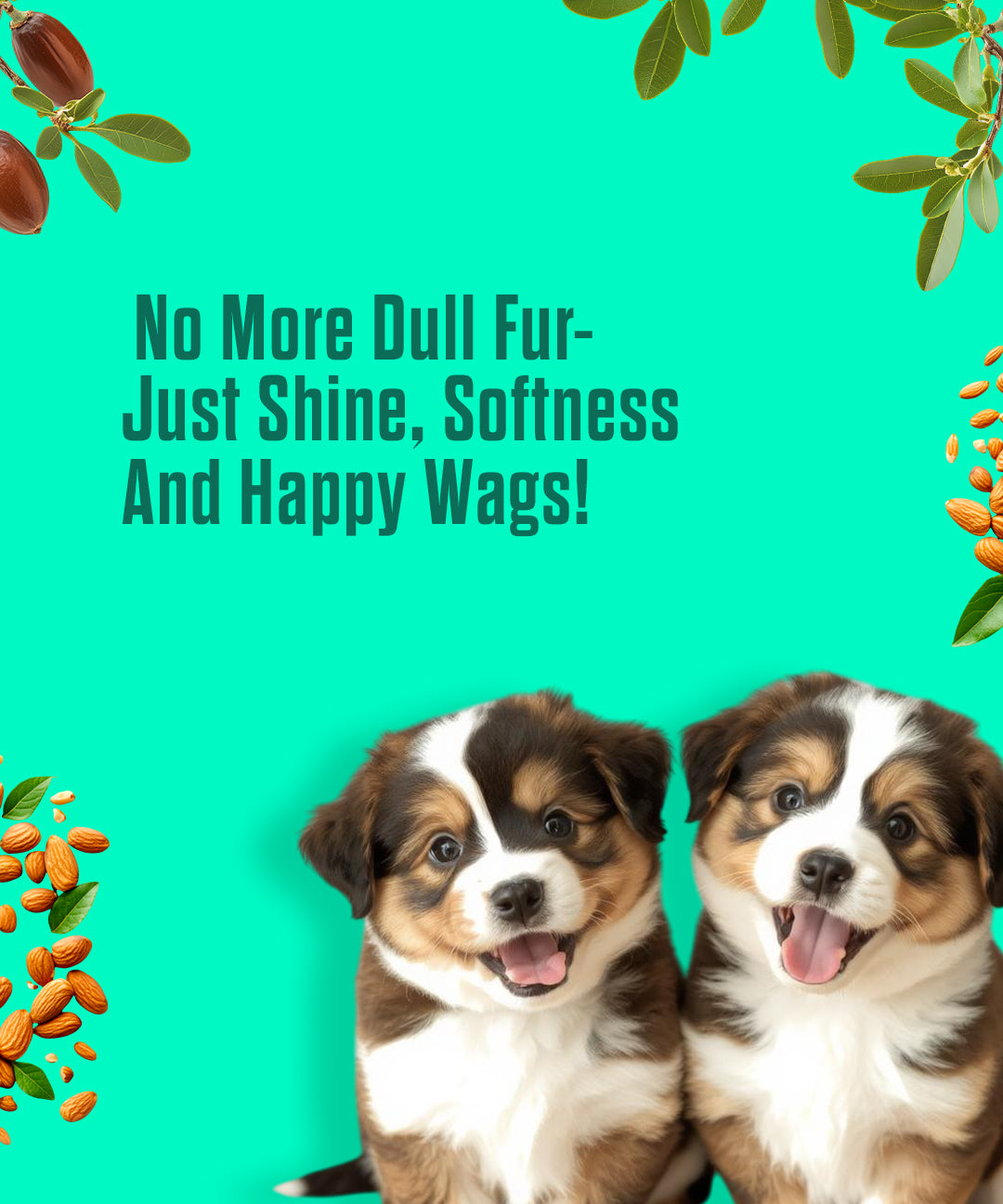 Fur Shiner Oil for Dogs and Cats