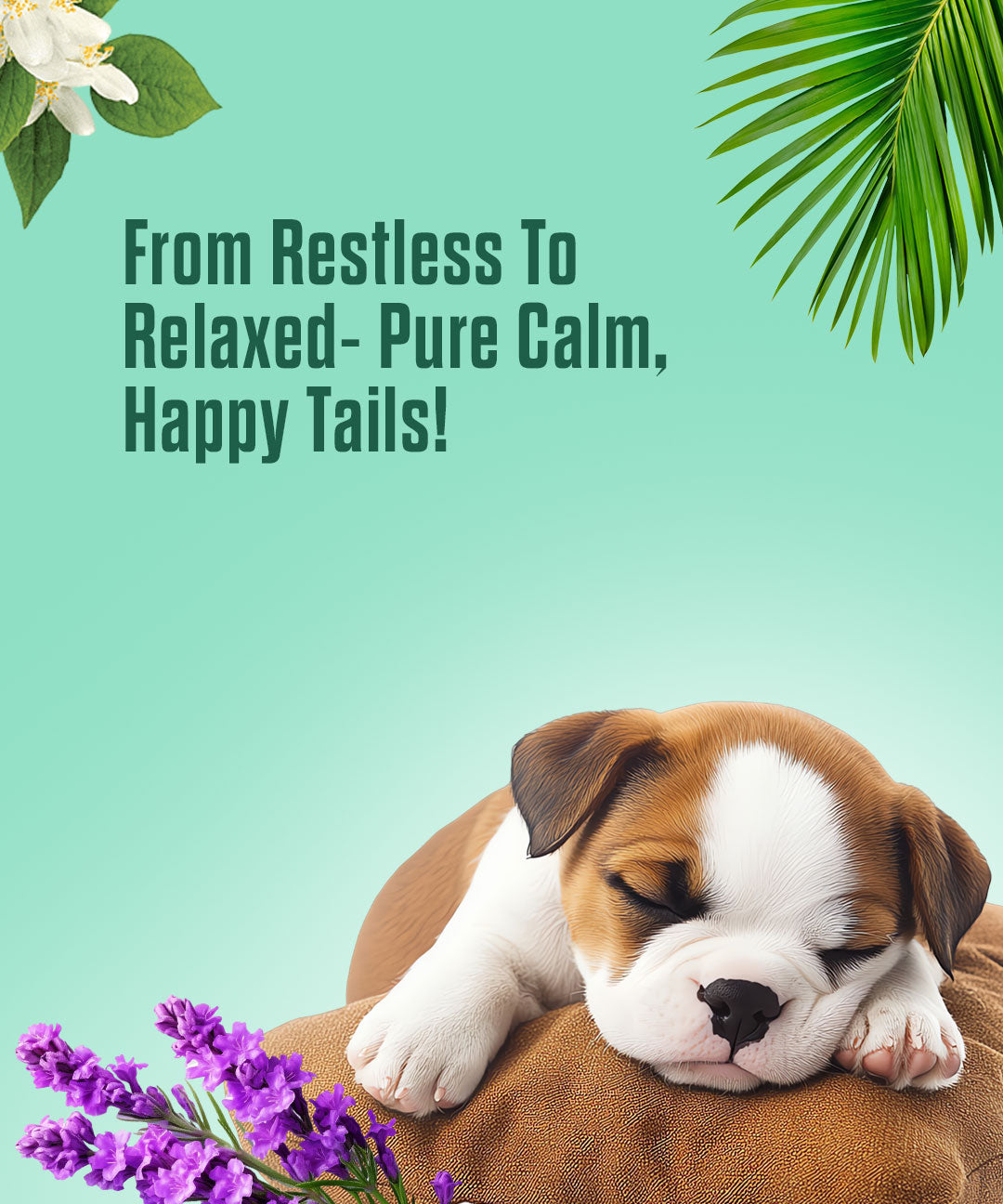 Relaxing Oil for Dogs and Cats