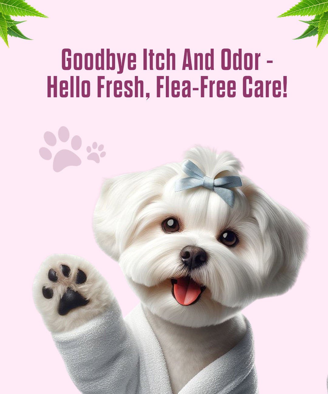 Puppy Bath Shampoo + Conditioner for Dogs and Cats