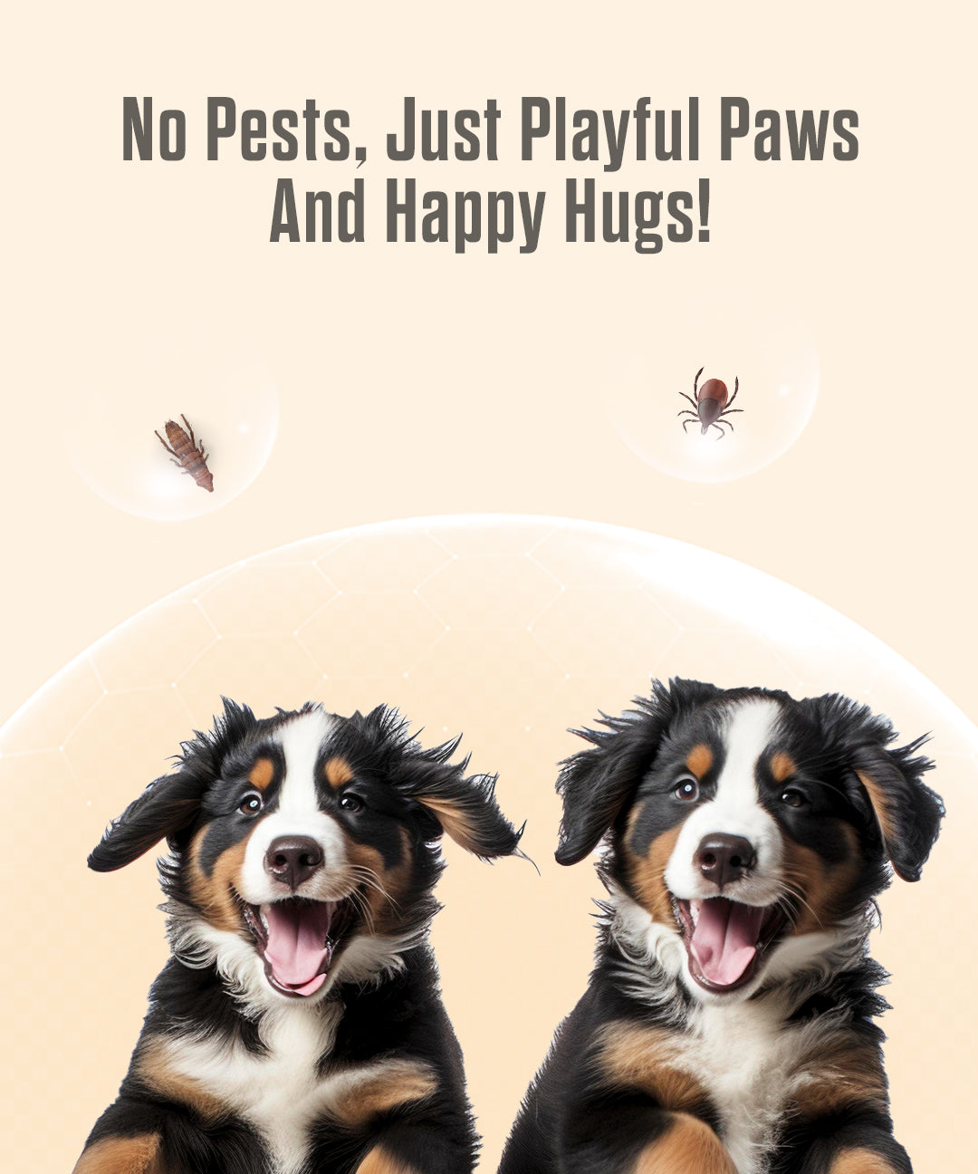 Bug Repellent Oil for Dogs and Cats