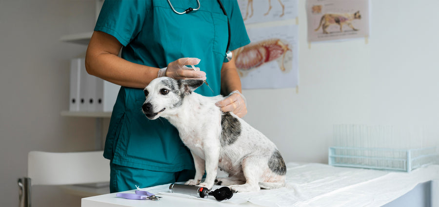 Vaccination Packages