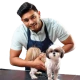 Mini Grooming Services
